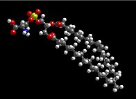Phospholipid molecule