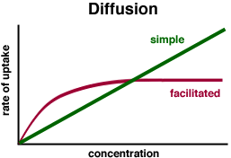 Graph of the simple and facilitated diffusion taking into account the rate of uptake and the concentration