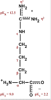 Chemical structure of arginine