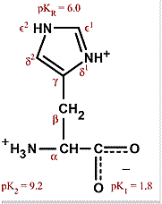 Chemical structure of histidine