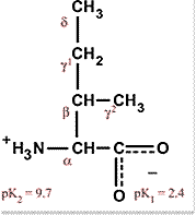 Chemcial structure for Isoleucine