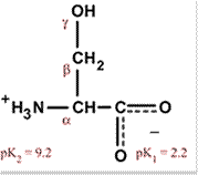 Chemical structure for serine