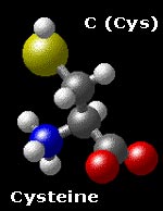 molecular structure of cysteine HS-CH2-CH(NH3)-COO