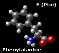 Molecular structure of phenylalanine